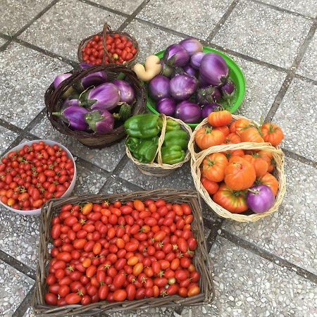 维莱塔奥利恩托乡村民宿 门塔纳 外观 照片